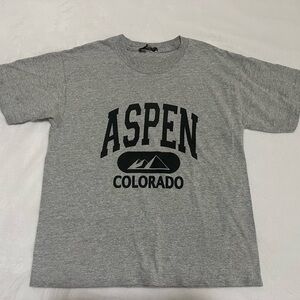 Aspen Colorado Gray T-Shirt